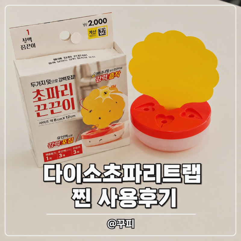 다이소 초파리 트랩 효과 진짜 있을까? 직접사용후기 (+꿀팁포함)