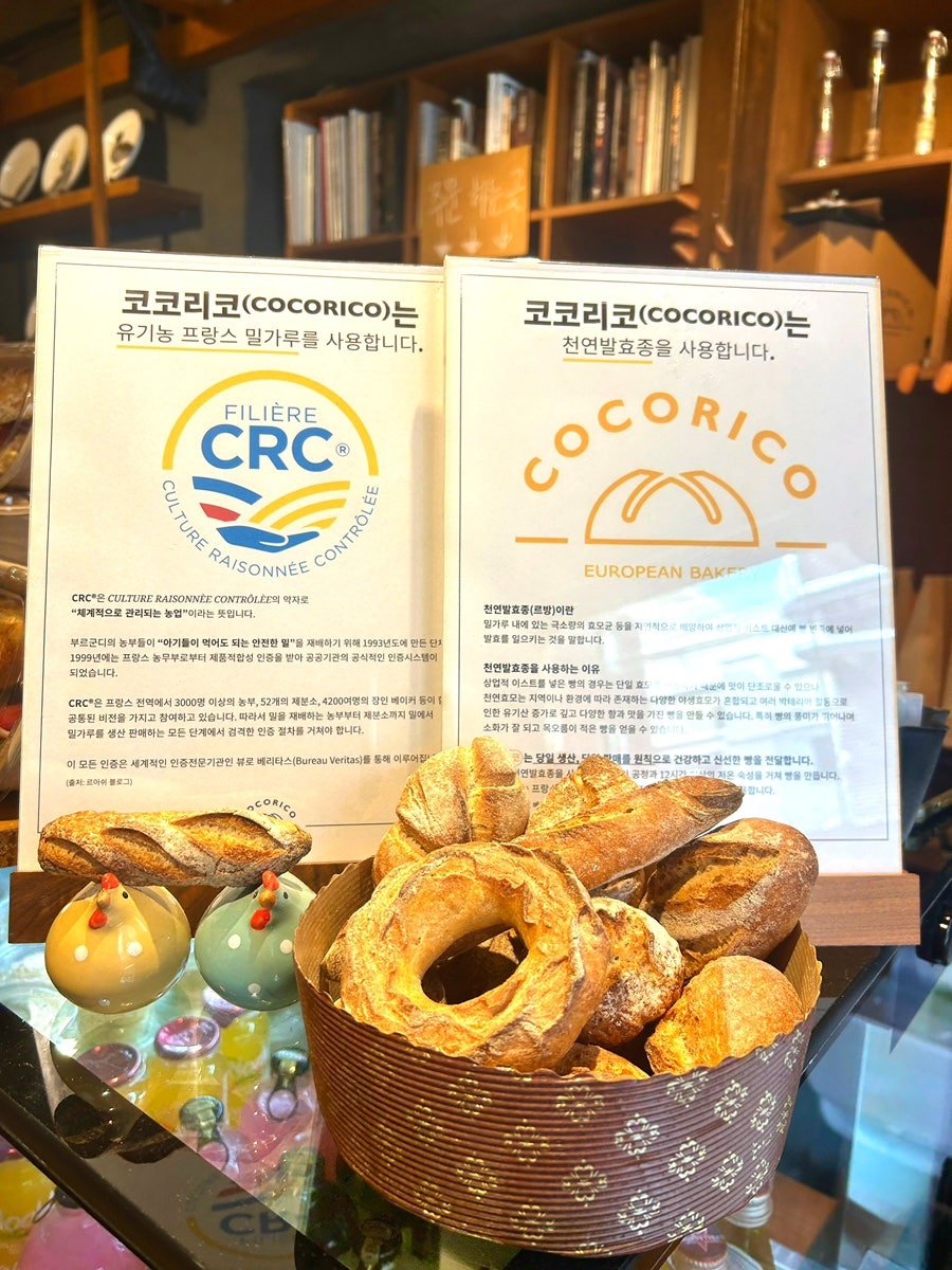 코코리코 사진 3