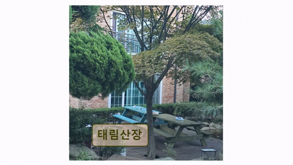 태림산장 사진 3