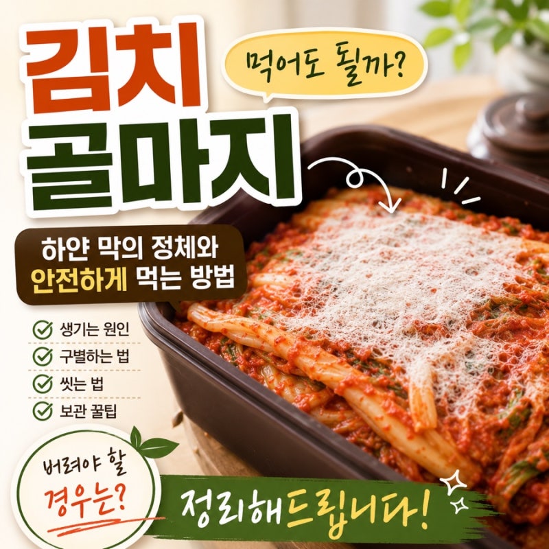 김치 하얀막 먹어도 되나요? 골마지 생기는 원인