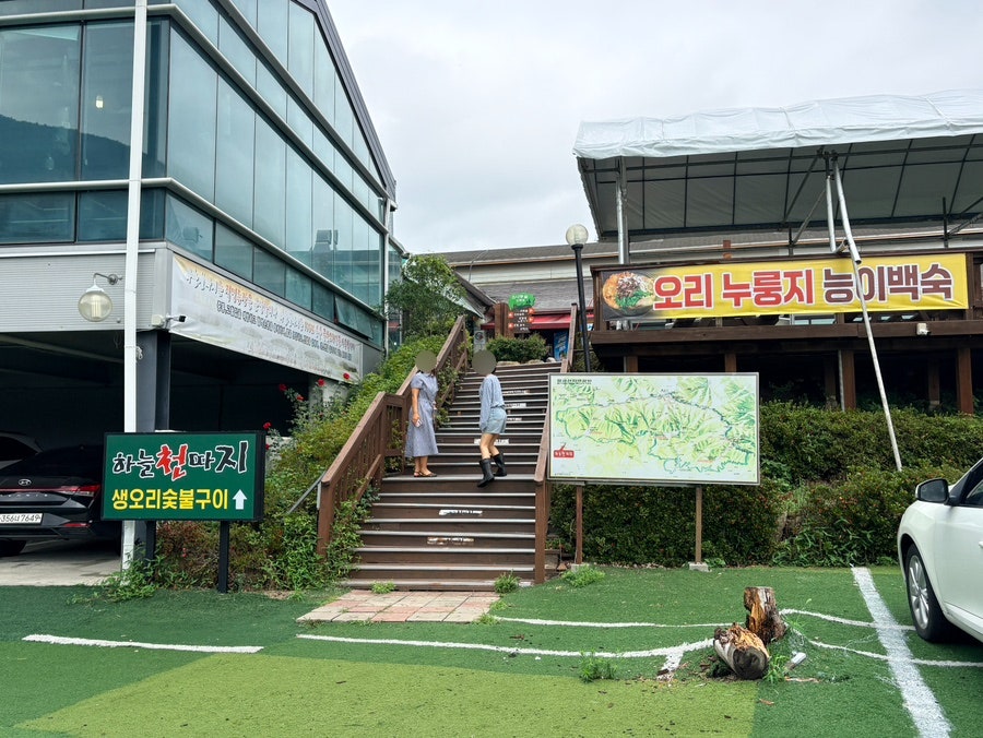 하늘천따지 사진 2