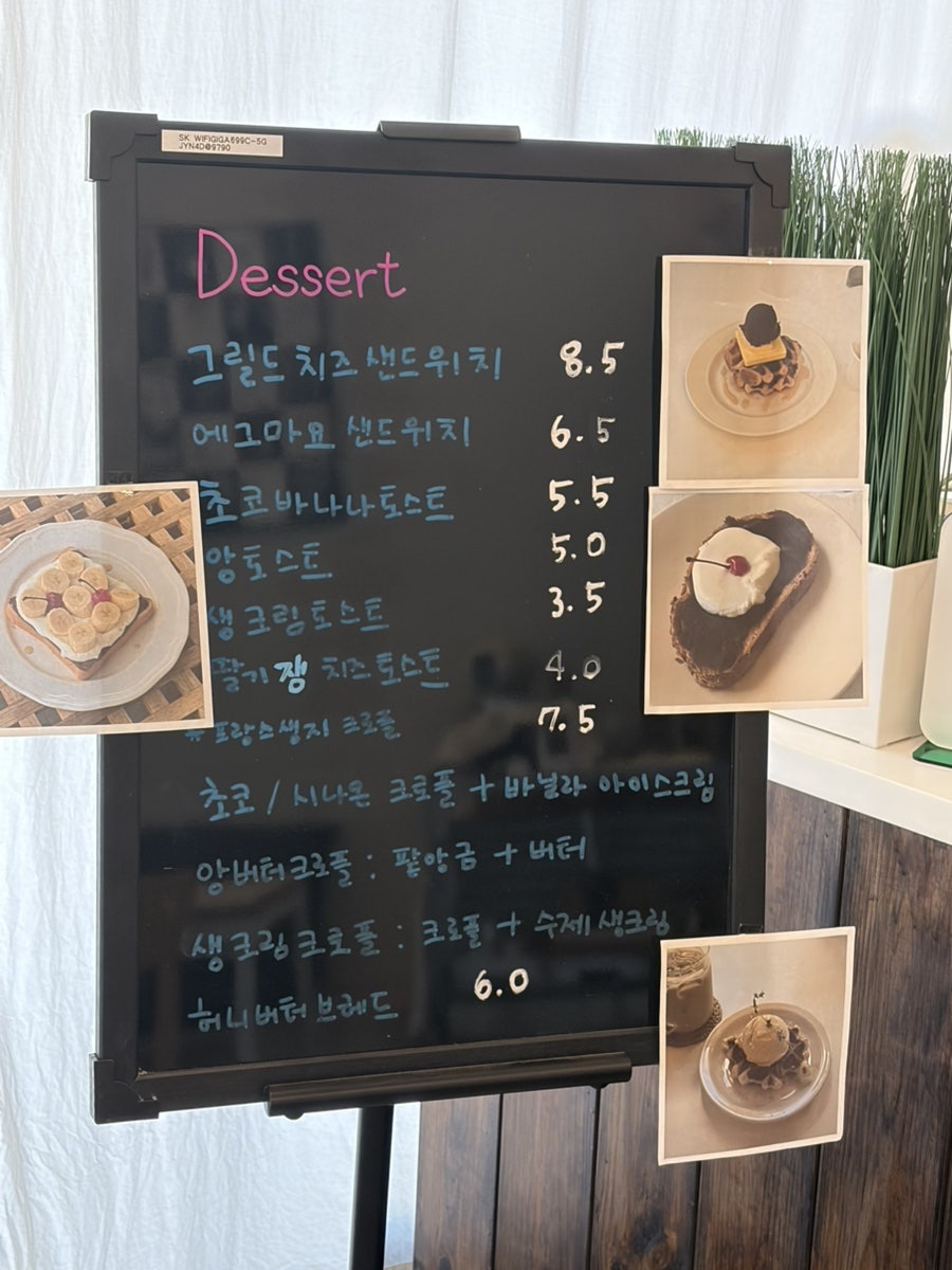비데어 사진 3
