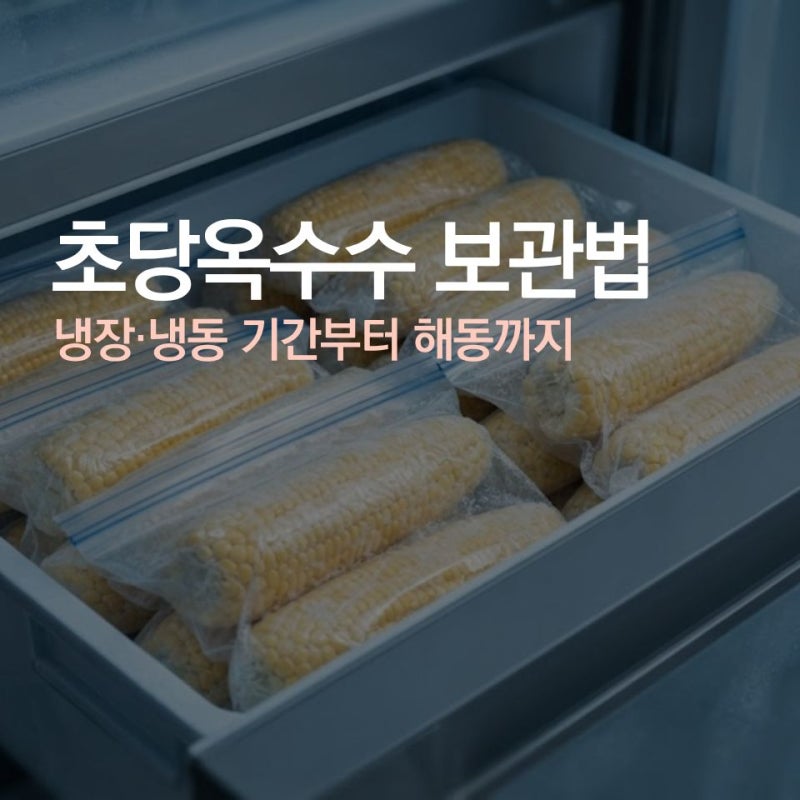 초당옥수수 보관법 제대로 알아보기 (냉장·냉동 기간부터 해동까지)