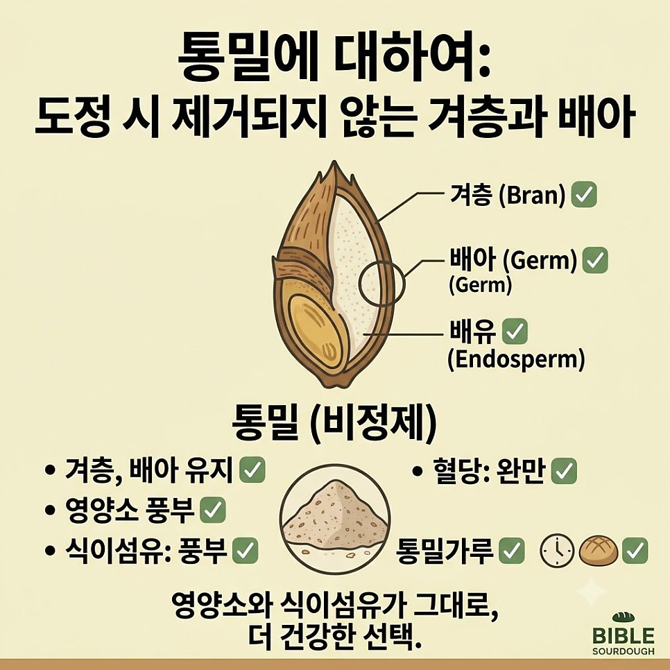 비블 사진 2