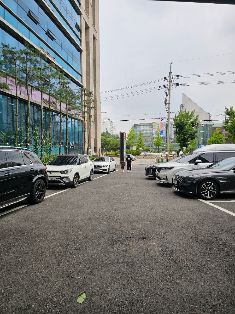 찔레꽃필무렵 사진 2