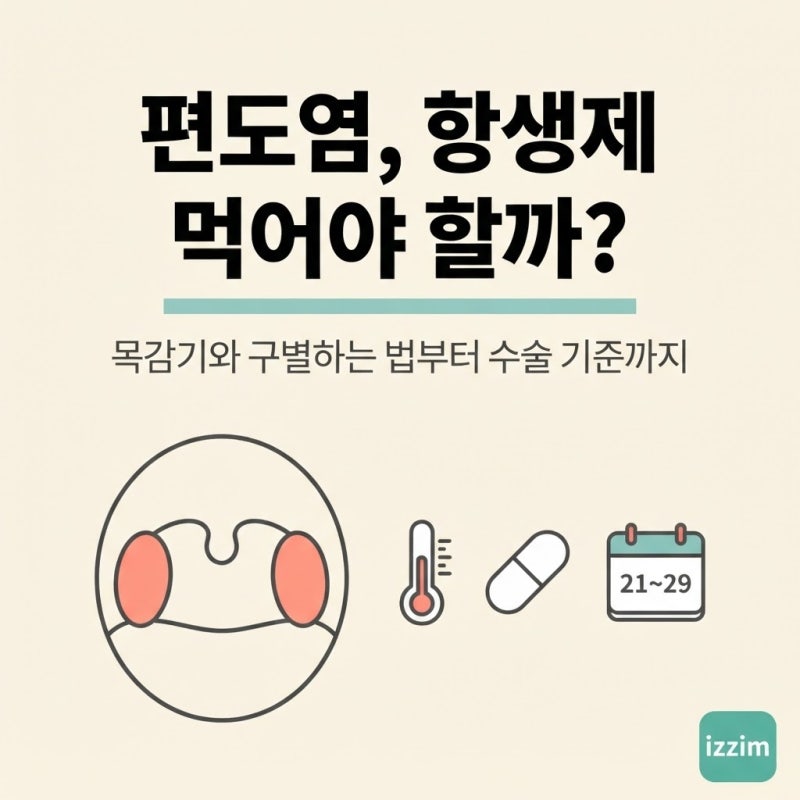 편도염 증상부터 항생제·편도절제술 기준까지, 목감기와 구별하는 법 총정리