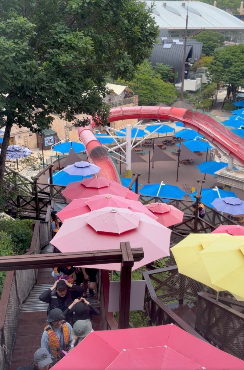 비발디파크 오션월드 썸머가든 사진 3