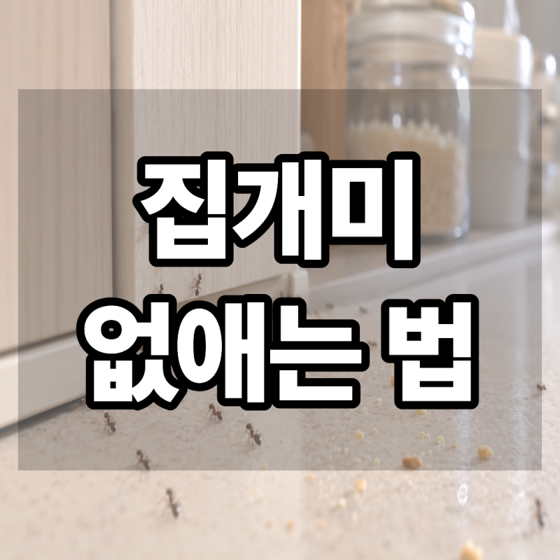 집개미없애는법, 집개미 나오는 이유부터 개미약 위치까지 정리