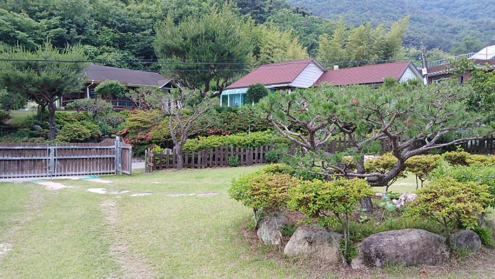 정남향 사진 3