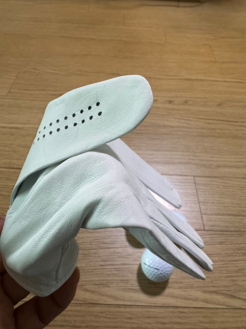 풋조이 남성용 양피 퓨어 터치 골프 장갑 왼손용 실착용 후기
