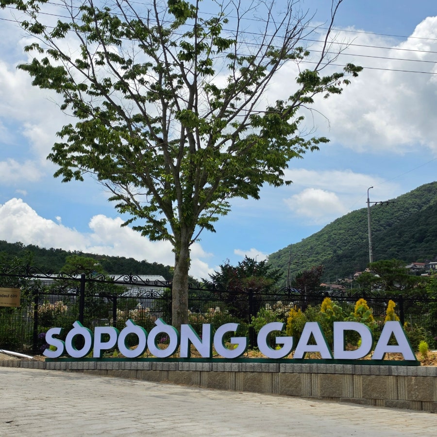 소풍가다 두동점 사진 3