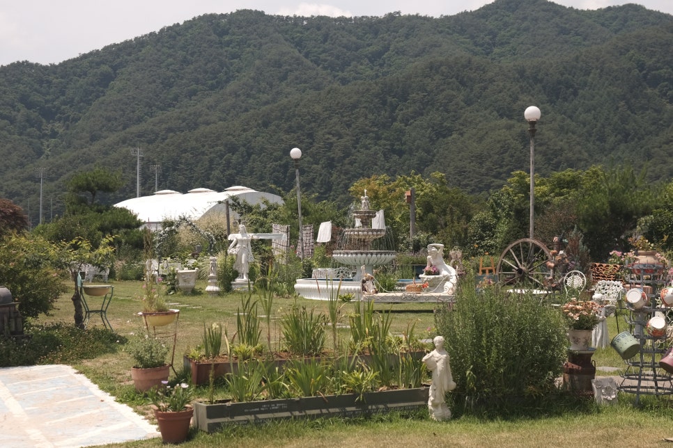 그리심 사진 6