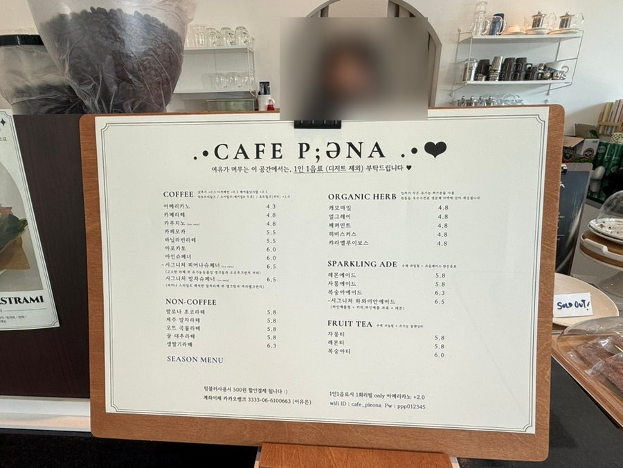 피어나 사진 3