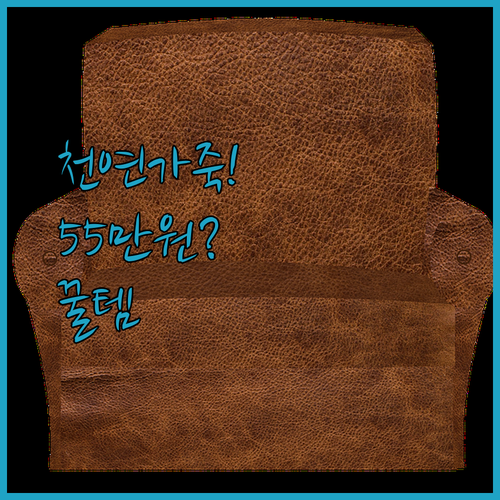 가성비 천연가죽 소파 추천! 뉴테라 3인용 559,000원 실제 구매자 후기