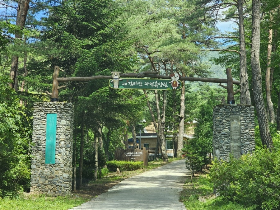 검마산 사진