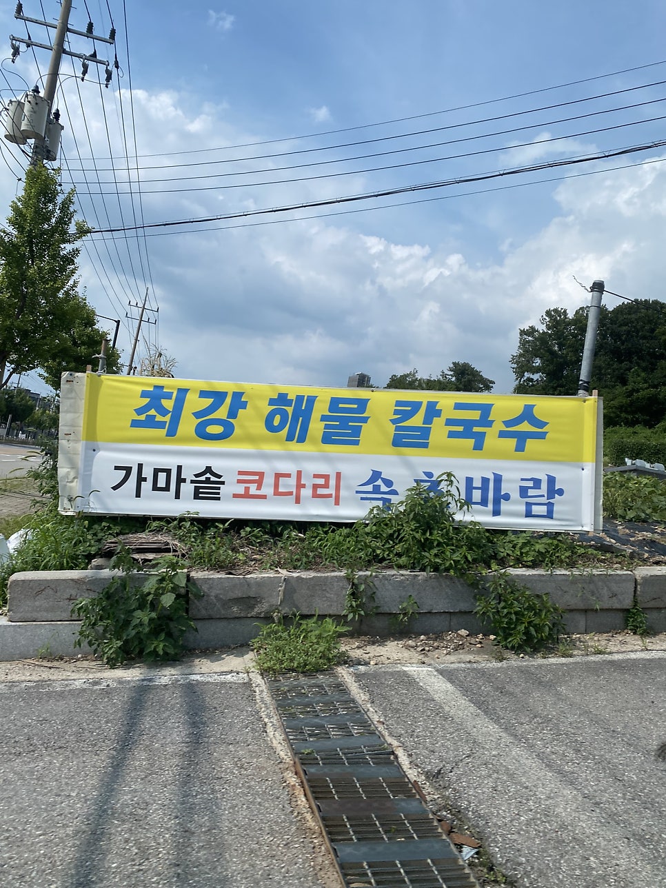 최강해물칼국수 사진 3