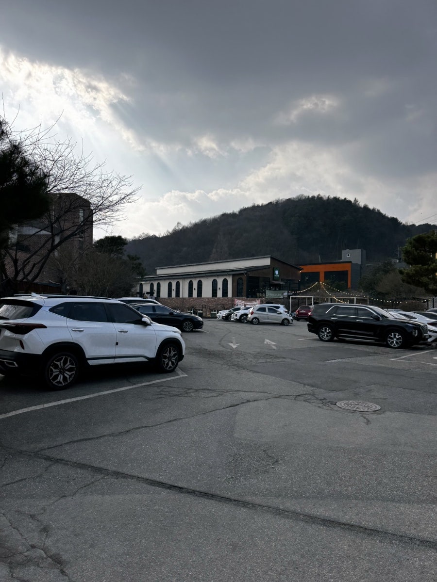 동이손만두 사진 5