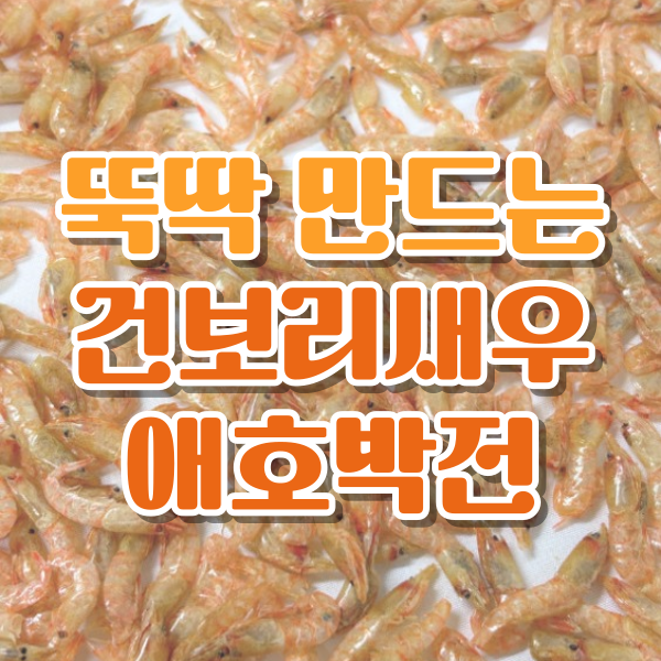 보리새우 활용하기 ep.1 | 보리새우 애호박전 2가지 방법