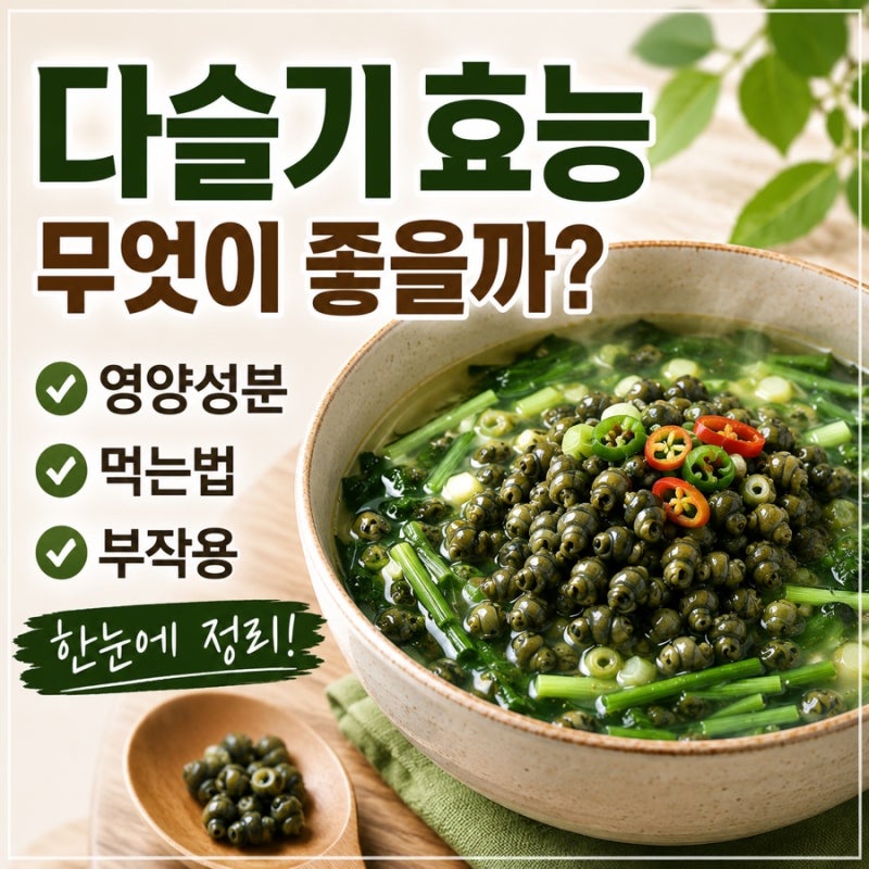 다슬기 효능 무엇이 좋을까? 영양성분·먹는법·부작용 총정리