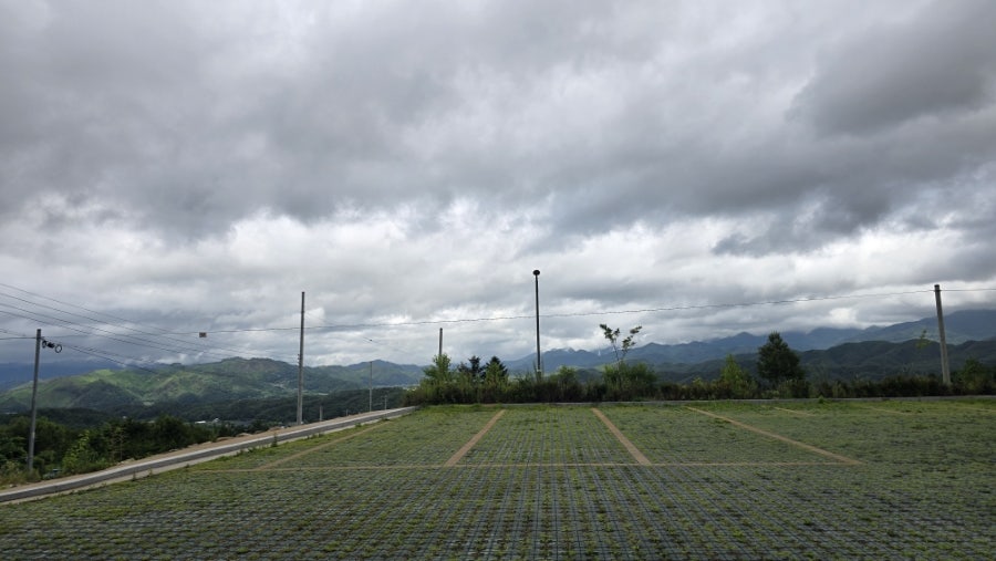 봉화산 사진 3
