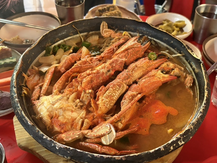 새옹지마 사진 4