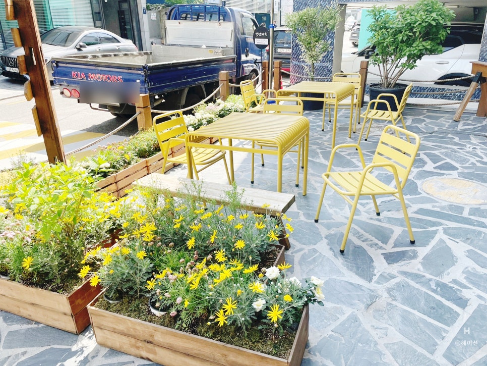 스탠다드브레드 도산 사진 3