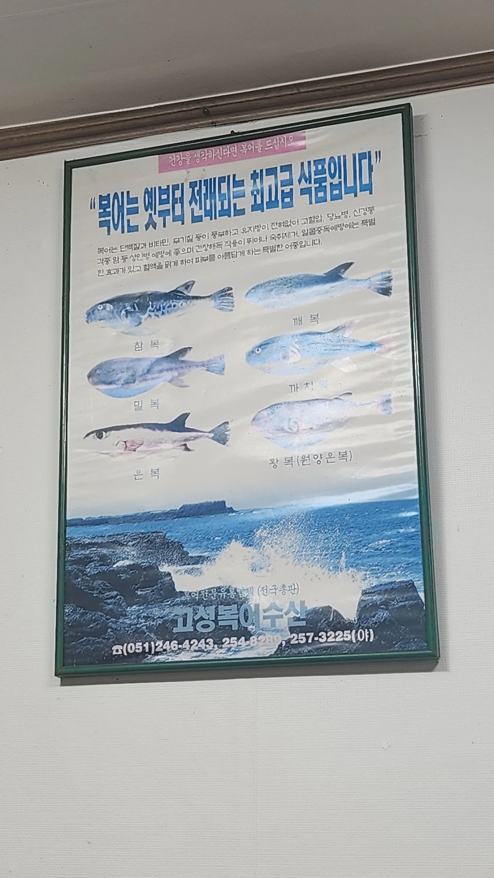 마산아구찜복어탕 사진 4