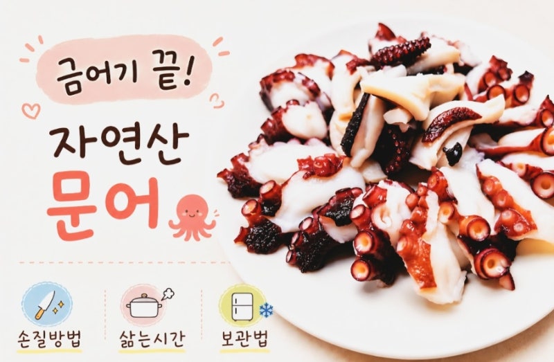 자연산 문어 손질하는 법, 삶는 시간과 냉동보관 총정리