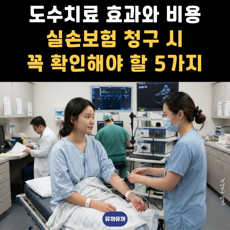 도수치료 효과와 비용 실손보험 청구 시 꼭 확인해야 할 5가지