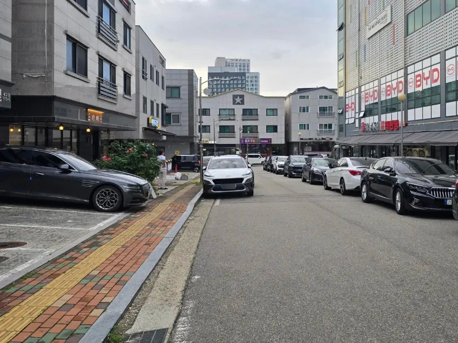카메 사진 6