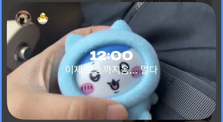 향설 사진 3