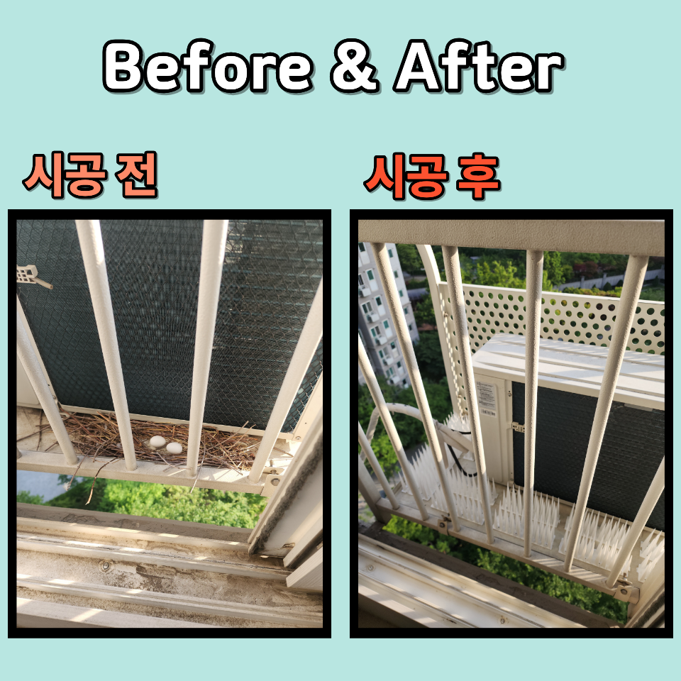 둥지 사진 2