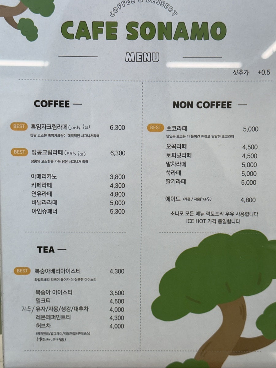 소나모 사진 6