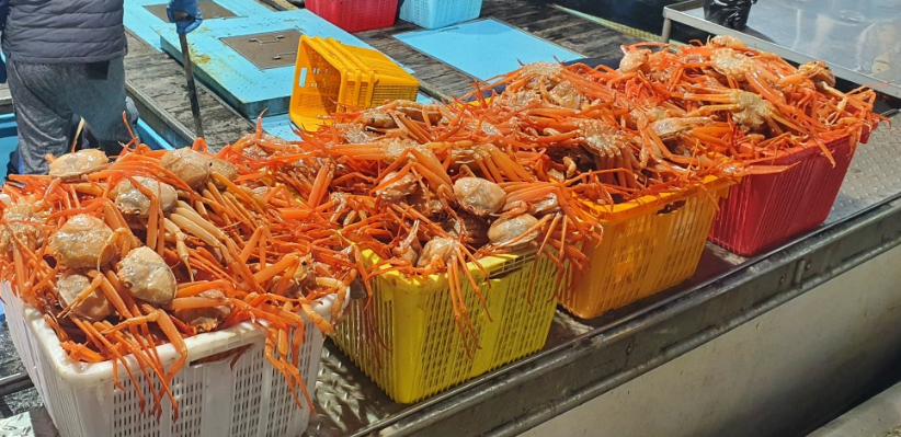 고향맛집 사진 1