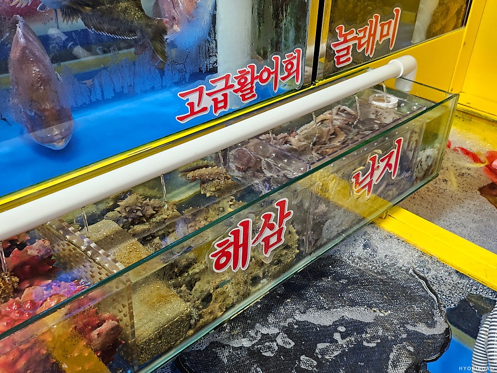 시장횟집 사진 5
