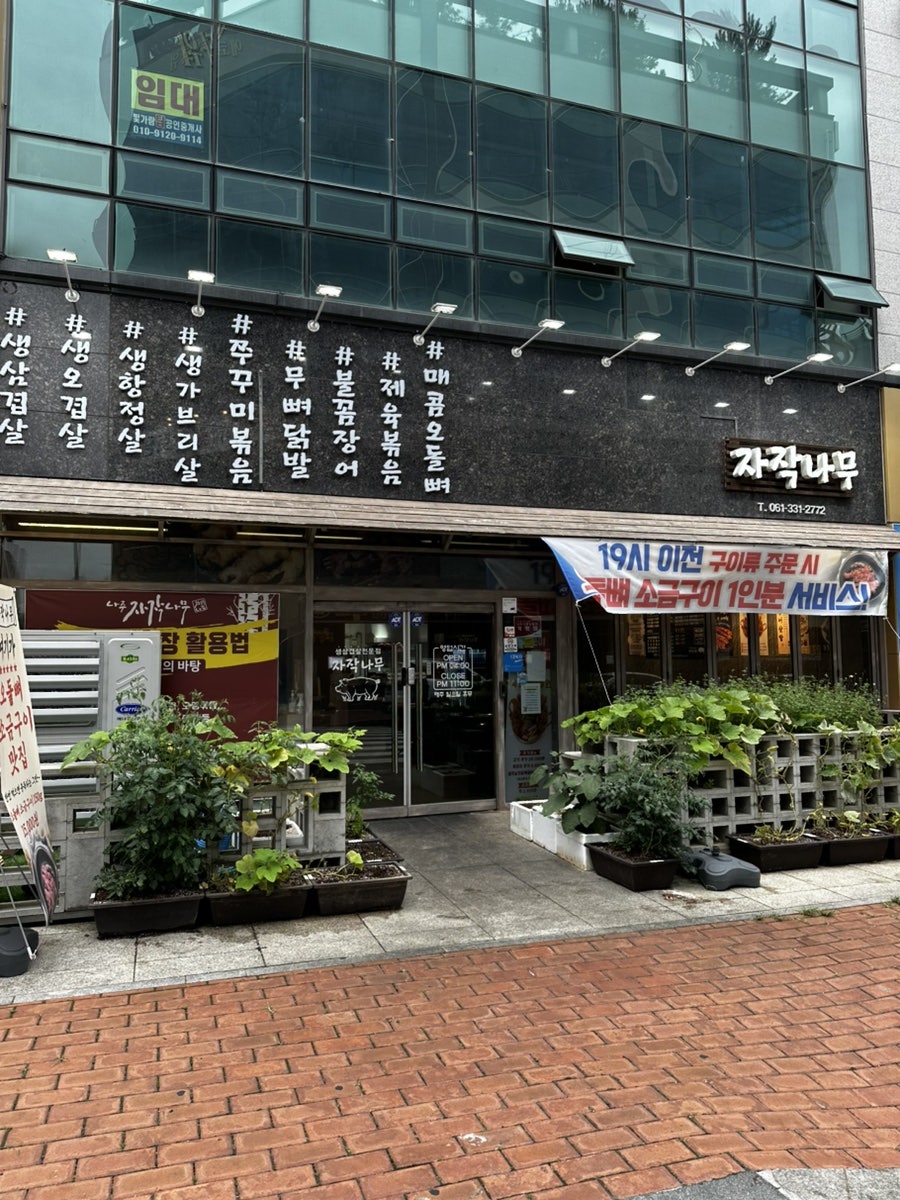 자작나무 사진 1