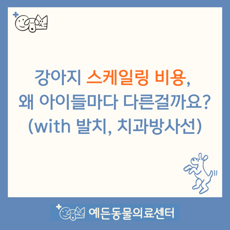 강아지 스케일링 비용, 왜 아이마다 다를까요? 발치와 치과 엑스레이까지 ㅣ 예든동물의료센....