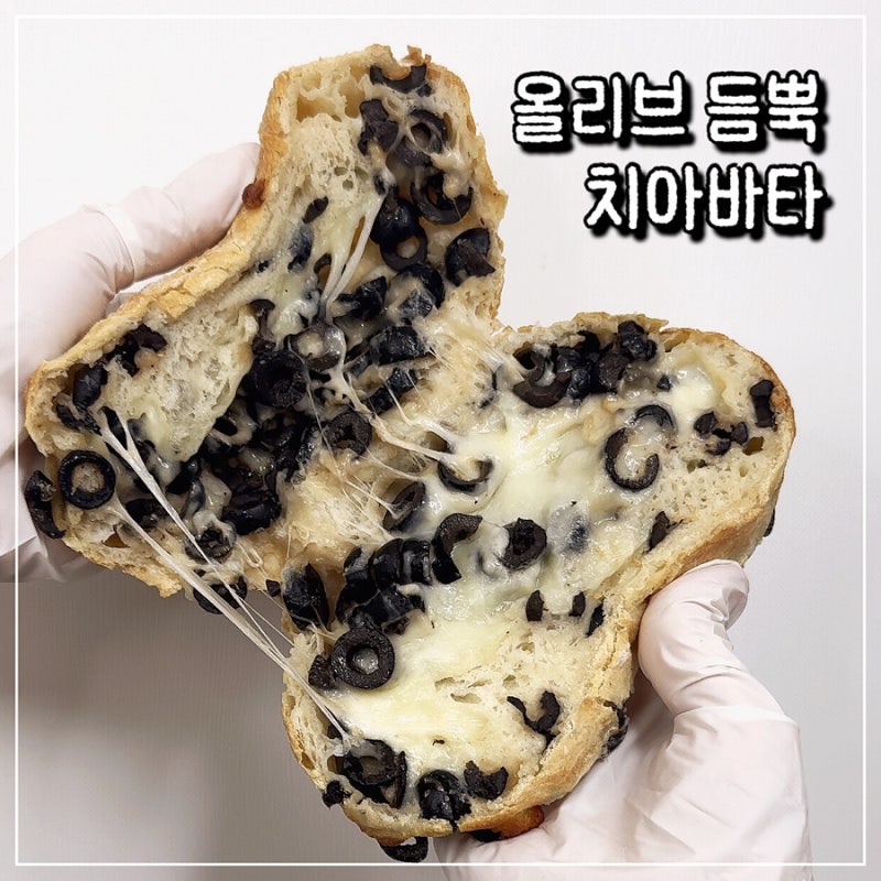 [내돈내산] 넉넉 올리브 듬뿍 치아바타 :: 마켓컬리 추천템 식사빵 후기