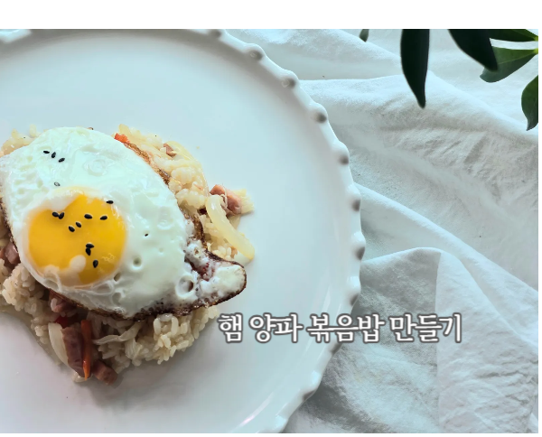 점심 뭐 먹지? 고민 끝 양파볶음밥 햄야채볶음밥 레시피