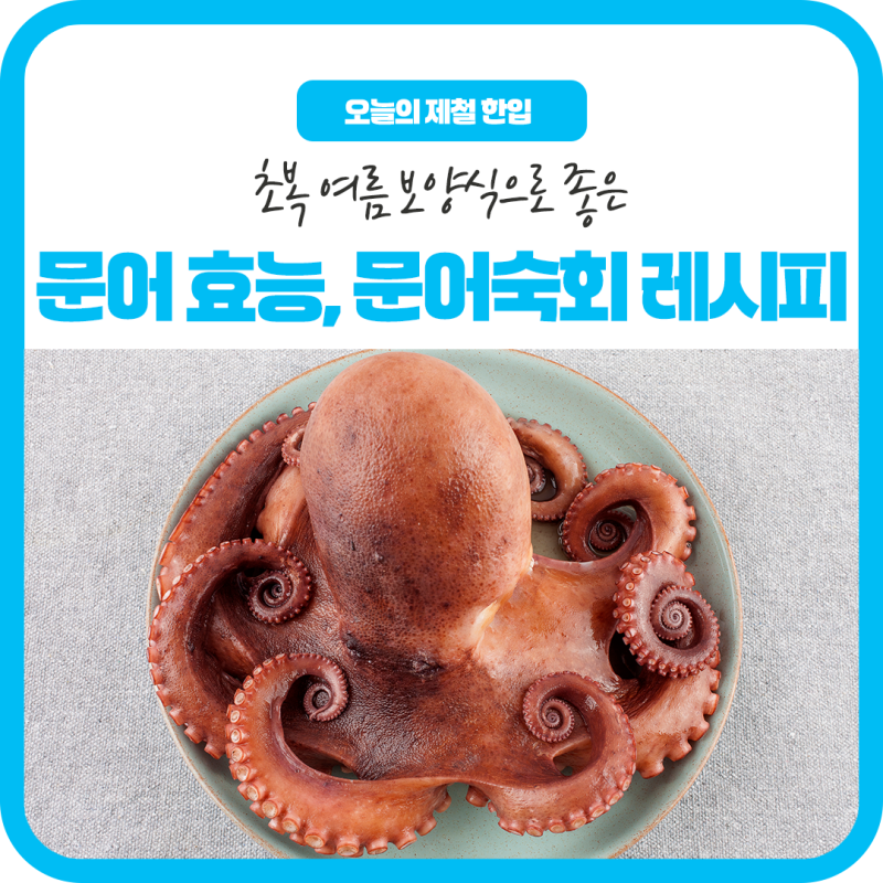 초복 여름 보양식으로 좋은 문어 효능과 문어숙회 레시피