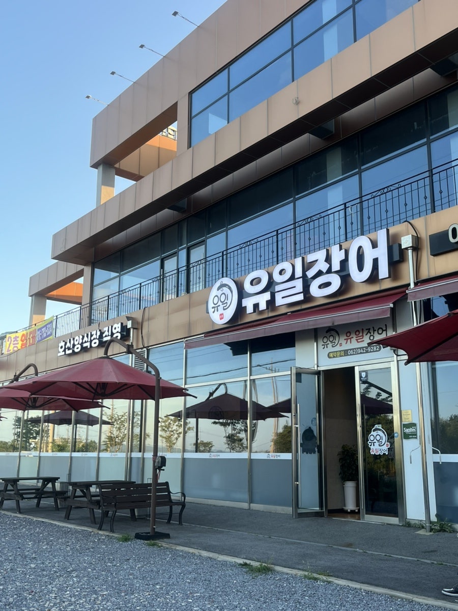 유일장어 사진 1