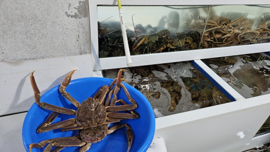 삼천포대게도매직판장 사진 4
