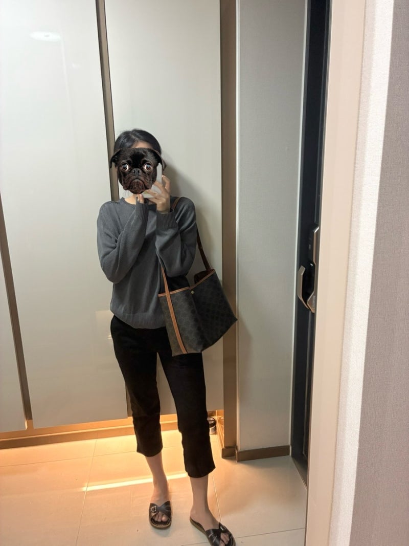 [후기]셀린느(CELINE) 소프트쇼퍼백