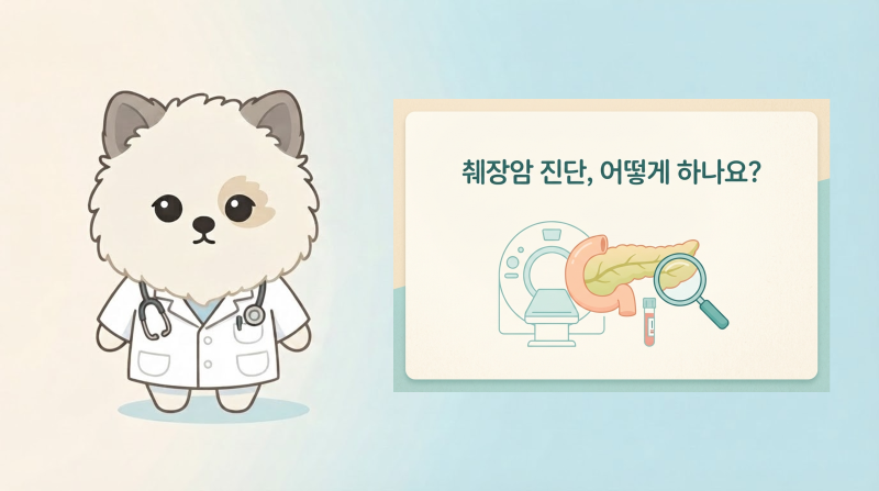 췌장암 진단 어떻게 하나요, CT부터 내시경 초음파까지 (2편)