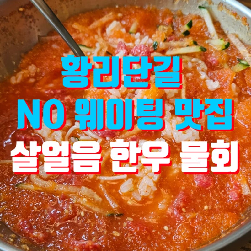 경주 황리단길 점심 맛집 함양집 | 웨이팅 없는 시원한 물회와 전통 비빔밥 후기