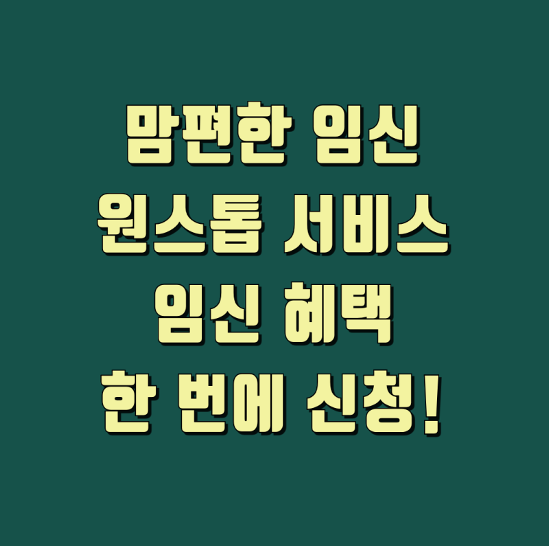 맘편한 임신 원스톱 서비스, 임신 지원금 엽산제 KTX 할인 신청하기