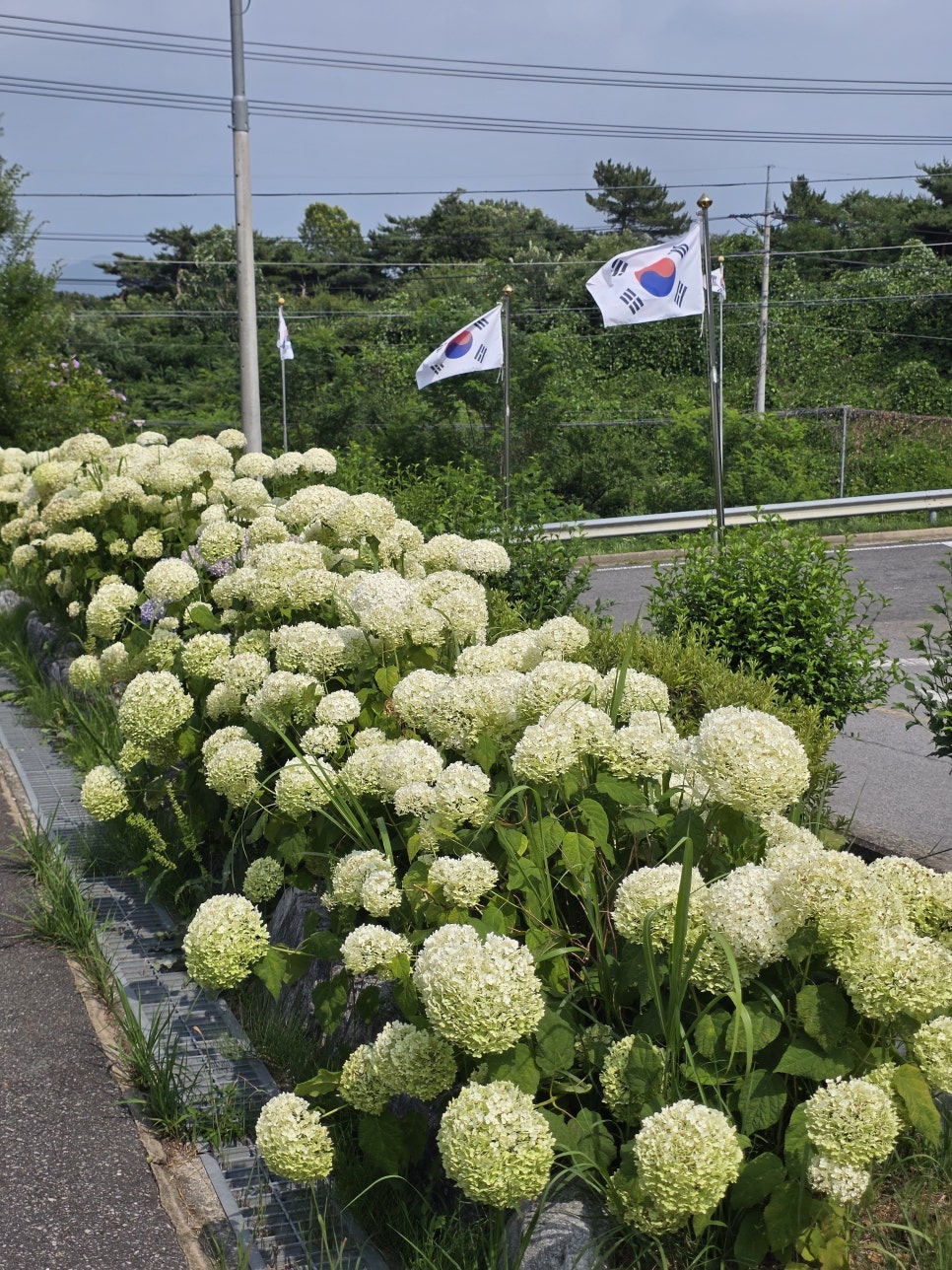남산 산림욕장 사진 3