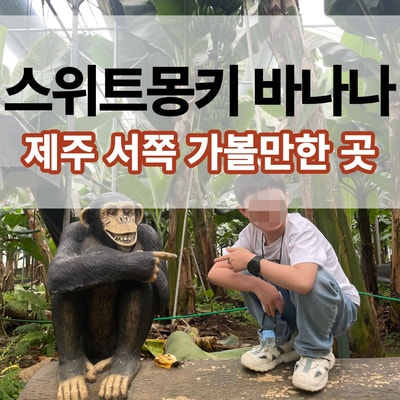 제주 서쪽 아이랑 가볼만한곳, 스위트 몽키 바나나 체험 완전 정복기