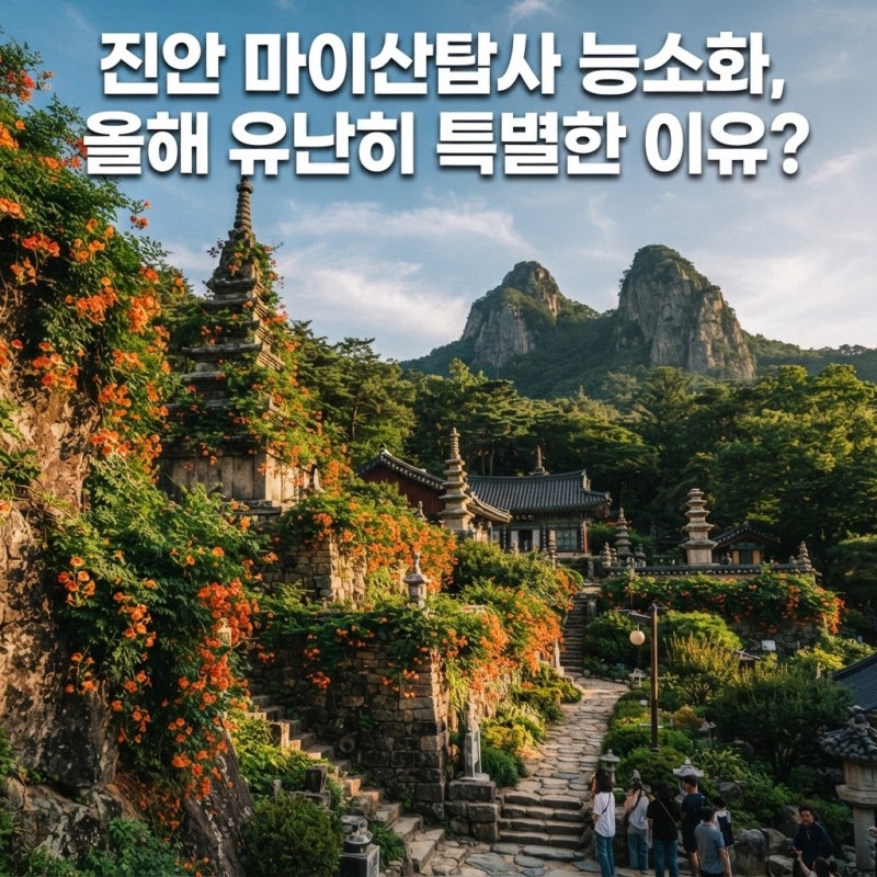 진안 마이산탑사 능소화 개화 현황, 올해 유난히 특별한 이유는?