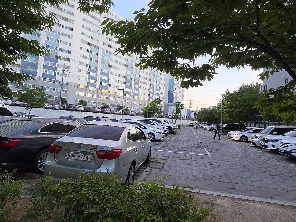 수제당케익전문점 사진 2